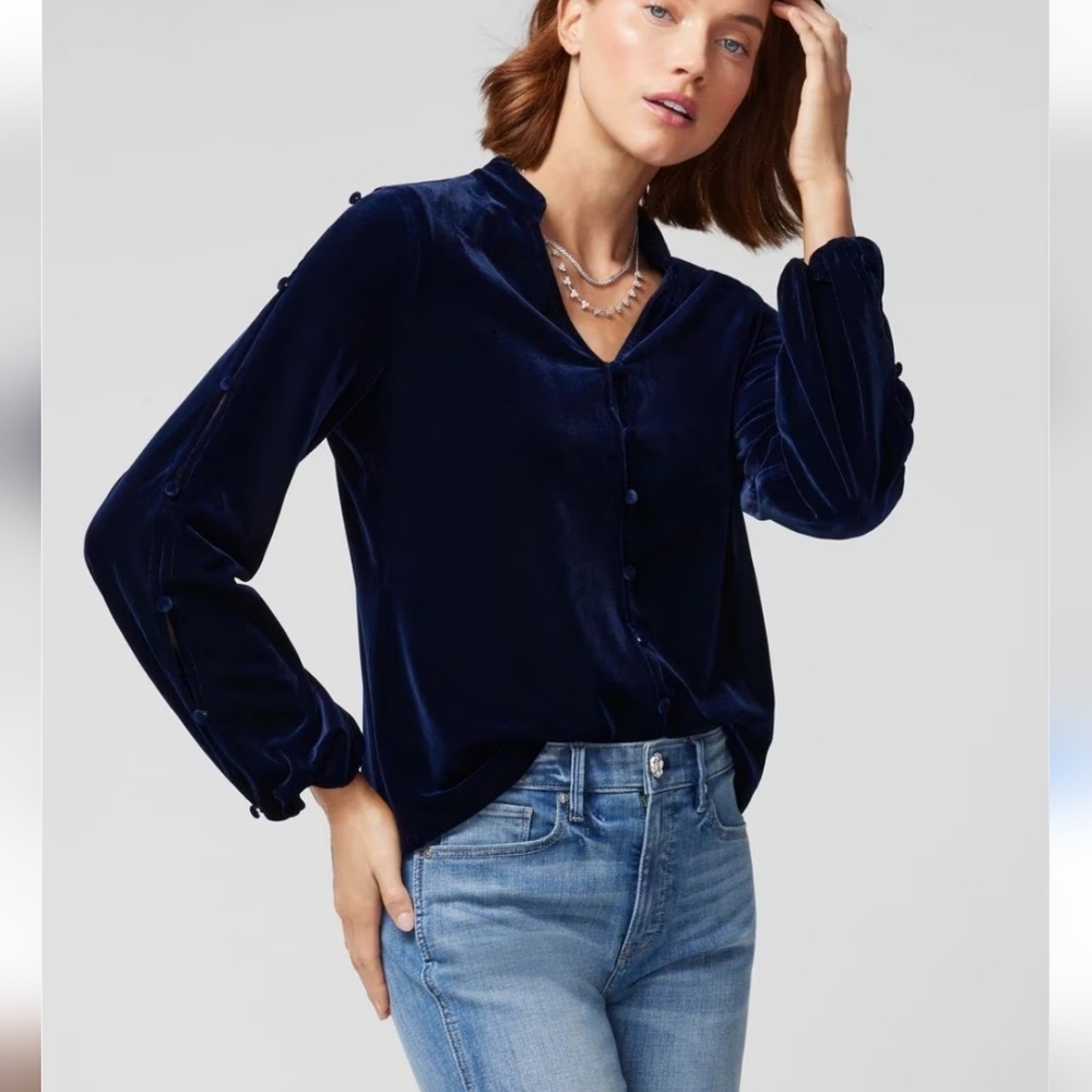 White House Black Market Velvet Vneck Long Sleeve Blouse